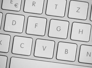 如何轻松保存你的QQ聊天记录到电脑—实用指南
