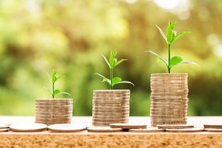 微信分付能否兑现？揭秘虚拟支付与现实现金的桥梁