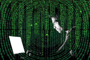 揭秘网络黑客的神秘世界，如何寻找他们的联系方式？