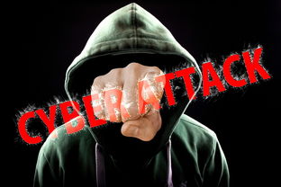 揭秘黑客追款服务，如何应对网络勒索，找回你的失血