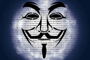 揭秘网络诈骗追回之路，黑客能否助你挽回损失？