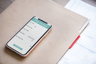 揭秘查开房记录APP，隐私追踪还是生活便利？
