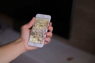 揭秘iPhone版陌陌聊天记录，那些隐藏在屏幕背后的故事