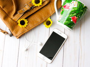 iPhone 4 微信聊天记录删除了？这些方法帮你找回！