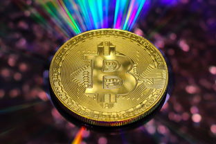 揭秘专业白条套出群，如何巧妙运用金融工具实现财富增长