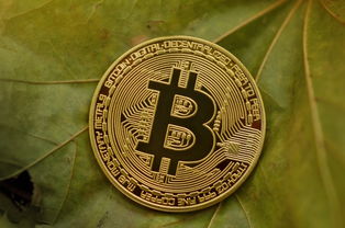 白条提现攻略，轻松将虚拟信用变成真金白银