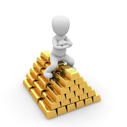 白条专区黄金元宝提现攻略，轻松变现，让你的财富动起来！
