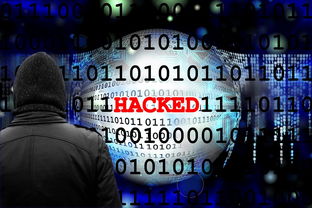 揭秘查房网查开房软件，隐私守护者的秘密武器
