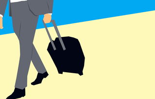 抖音月付套出代理，轻松开启你的副业之旅！