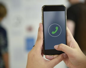 揭秘如何查看老公手机微信聊天记录，实用技巧与案例分析