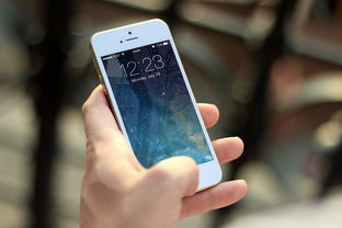 揭秘iPhone版陌陌聊天记录，那些隐藏在屏幕背后的故事