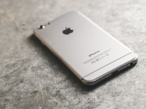 揭秘iPhone版陌陌聊天记录，那些隐藏在屏幕背后的故事