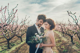 揭秘夫妻信任危机，男子查老婆开房记录，真相令人深思