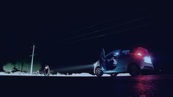 BYD汽车品牌下的汽车案例解析