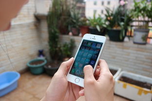 iPhone 5S微信聊天记录误删了？别慌，教你几招轻松恢复！