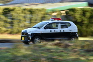 日本仿造中国汽车品牌之路，案例分析与未来展望