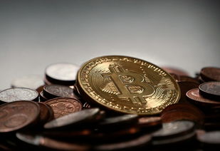 白条提现攻略，如何将虚拟信用变成真金白银？