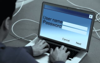 揭秘姓名查开房记录，隐私保护与信息透明的边界探讨