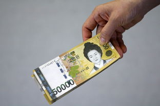 分期乐现金贷款提现攻略，轻松搞定资金周转