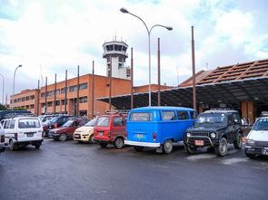 探索西藏之旅，汽车品牌推荐与案例分析
