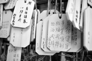 揭秘抖音月付套现700的秘密，操作技巧与风险分析