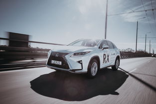 2023年汽车品牌销量报告