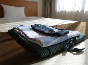 轻松查询旅馆住宿记录，掌握出行安全小秘籍