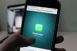 iPhone微信聊天记录和语音照片误删了？这些恢复方法帮你找回！