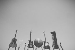 抖音月付取现利息计算揭秘，如何轻松理解你的收益