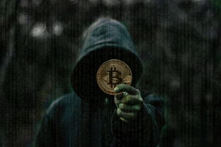 揭秘专业黑客24小时在线接单，揭秘黑暗世界的神秘服务