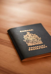 轻松查开房记录，一键下载，揭秘你的隐私安全之旅
