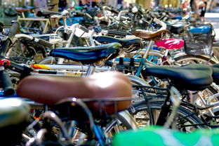 公路自行车与汽车品牌大比拼