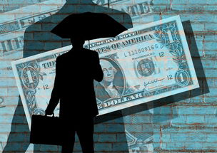 网上白条取现，安全还是风险？揭秘你的资金安全
