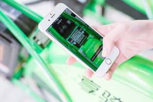 汽车品牌安全质量标准深度解析