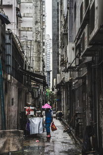 香港本土汽车品牌崛起之路