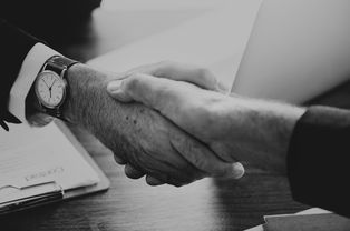 揭秘白条取现合同，了解你的金融小助手