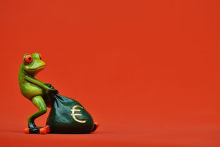 抖音月付功能解析，能取现吗？揭秘你的钱袋子！